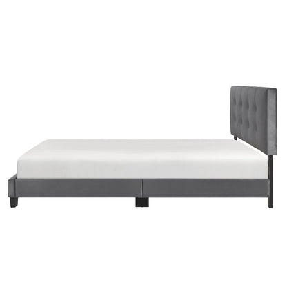 Newberry Velvet Queen Platform Bed, Dark gray color in Dark gray