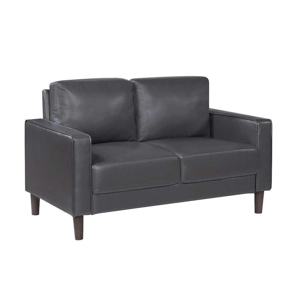 Lexicon Malcolm Faux leather Love Seat in Dark Gray