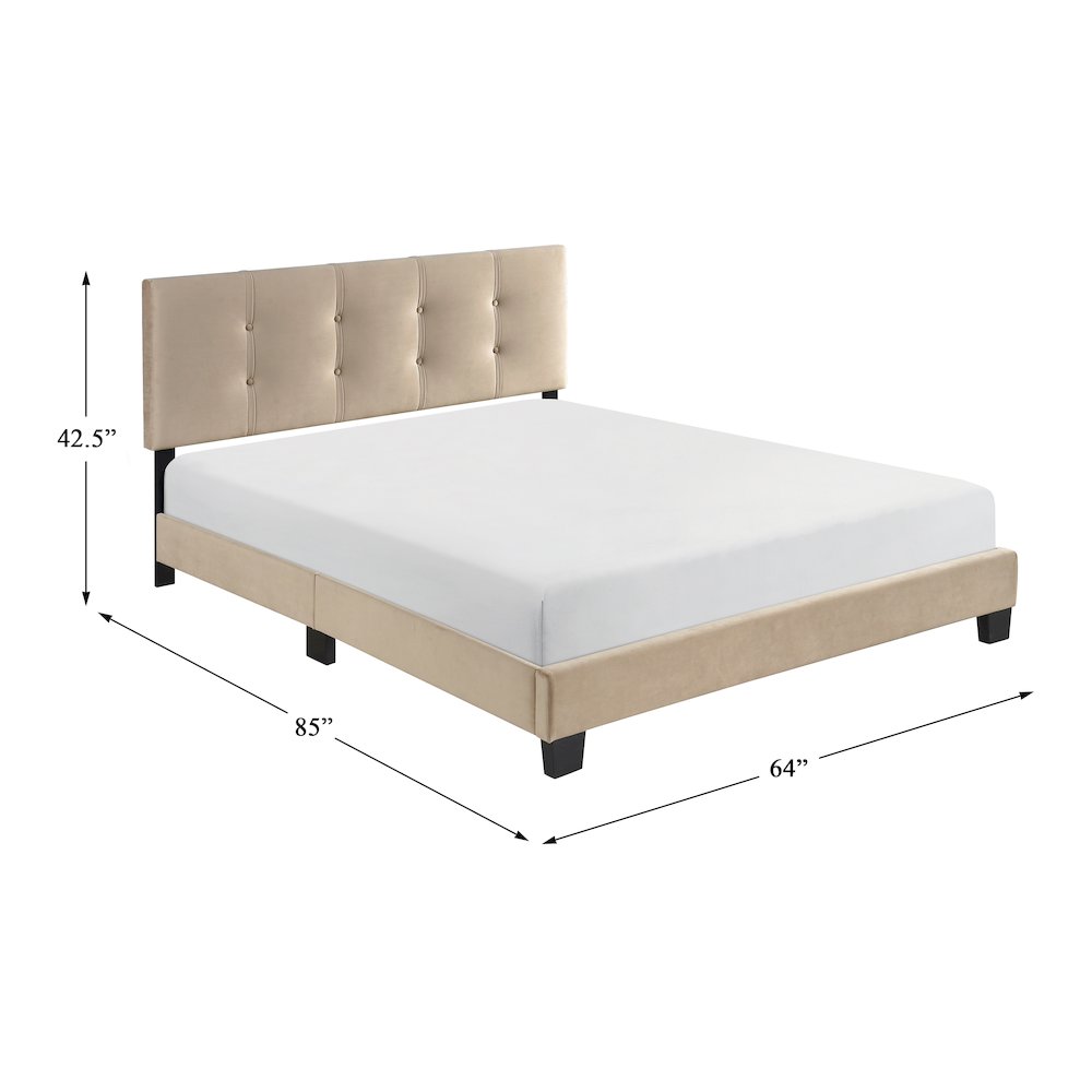 Newberry Velvet Queen Platform Bed, Light brown color in Light brown
