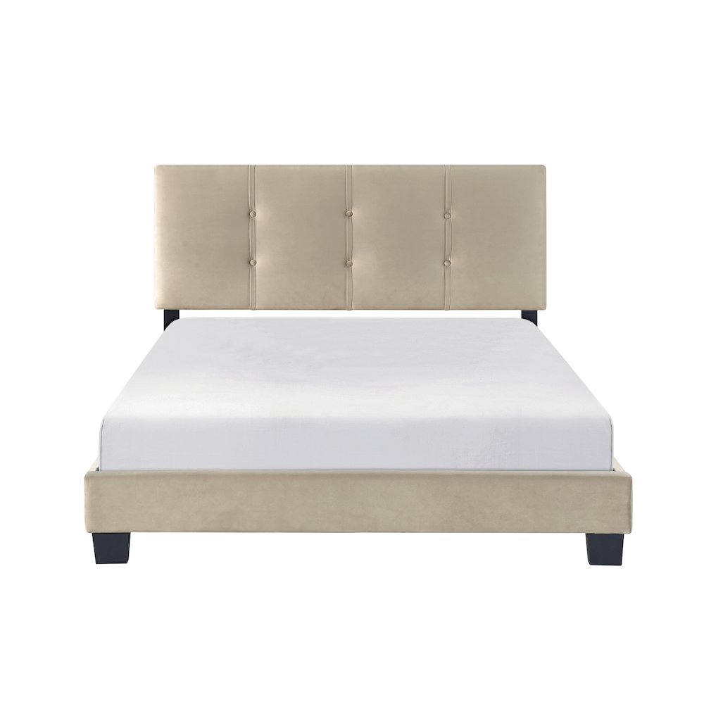 Newberry Velvet Full Platform Bed in Light Brown