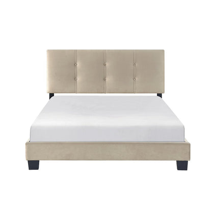 Newberry Velvet Full Platform Bed in Light Brown