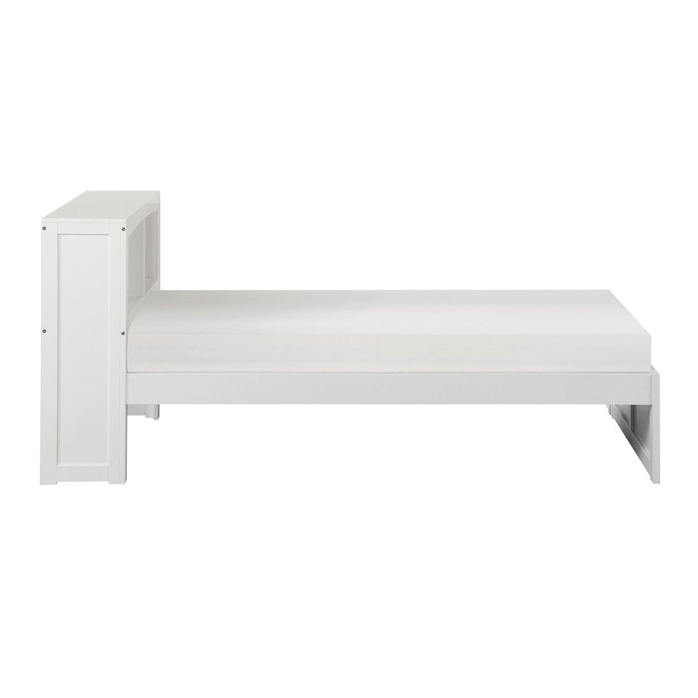 Galen Pine Twin Bookcase Bed in White