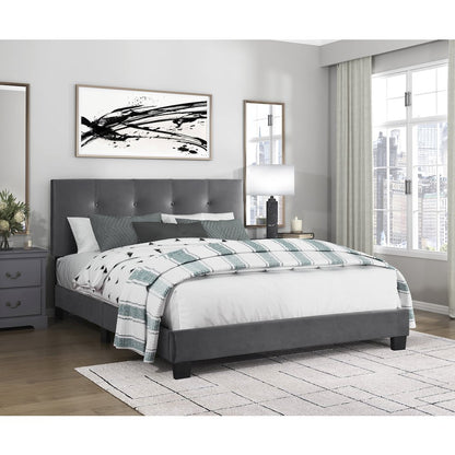 Newberry Velvet Queen Platform Bed, Dark gray color in Dark gray