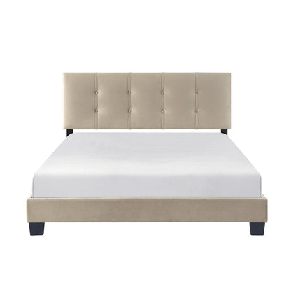 Newberry Velvet Queen Platform Bed, Light brown color in Light brown