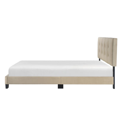 Newberry Velvet Queen Platform Bed, Light brown color in Light brown