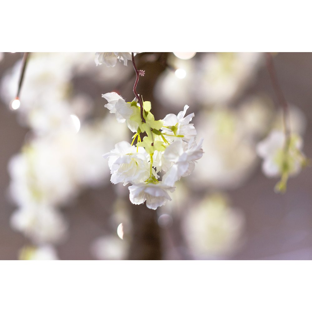 Medium Cherry Blossom Tree with 84 Warm White LED