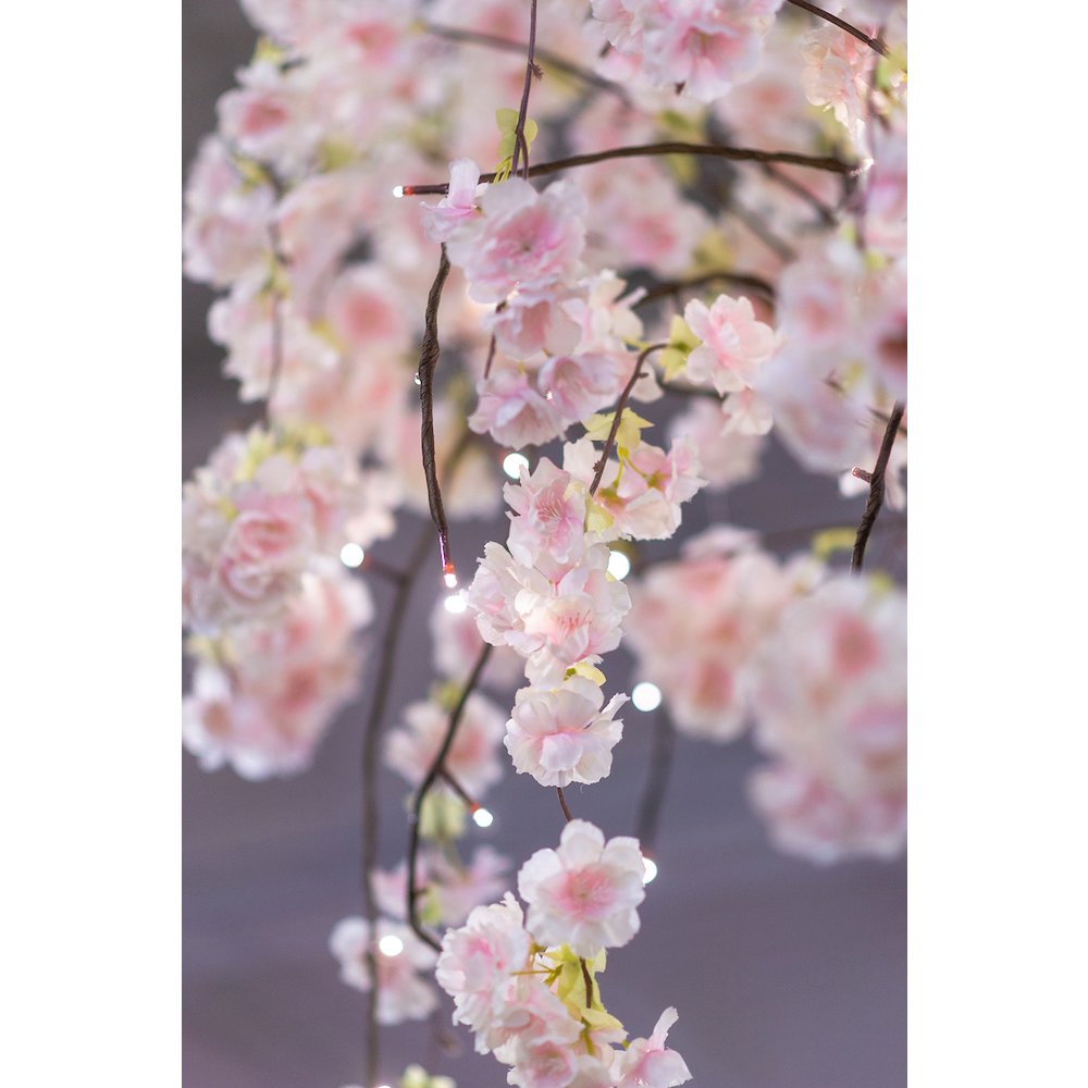 Medium Pink Cherry Blossom Tree with 84 Warm White LED