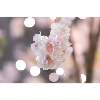 Medium Pink Cherry Blossom Tree with 84 Warm White LED