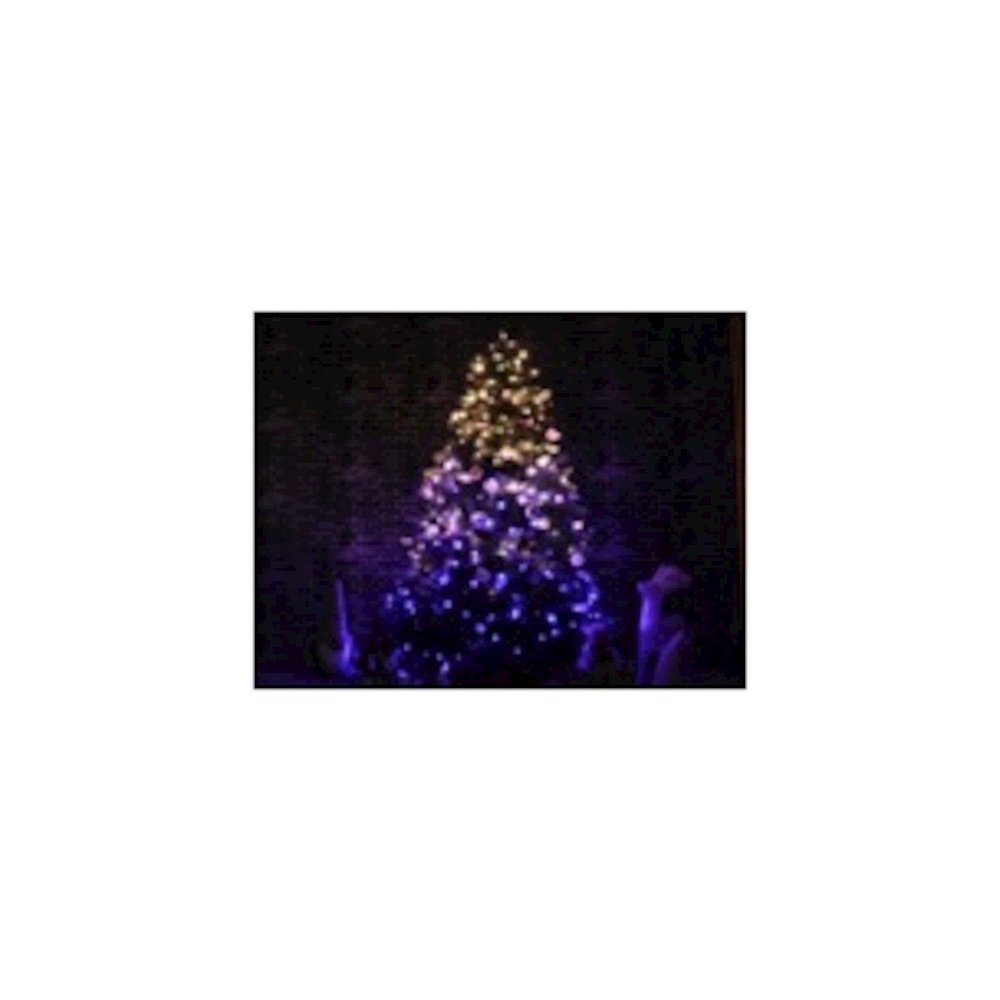 Multi-Function Timed String Lights - 100 RGB LEDs with Remote