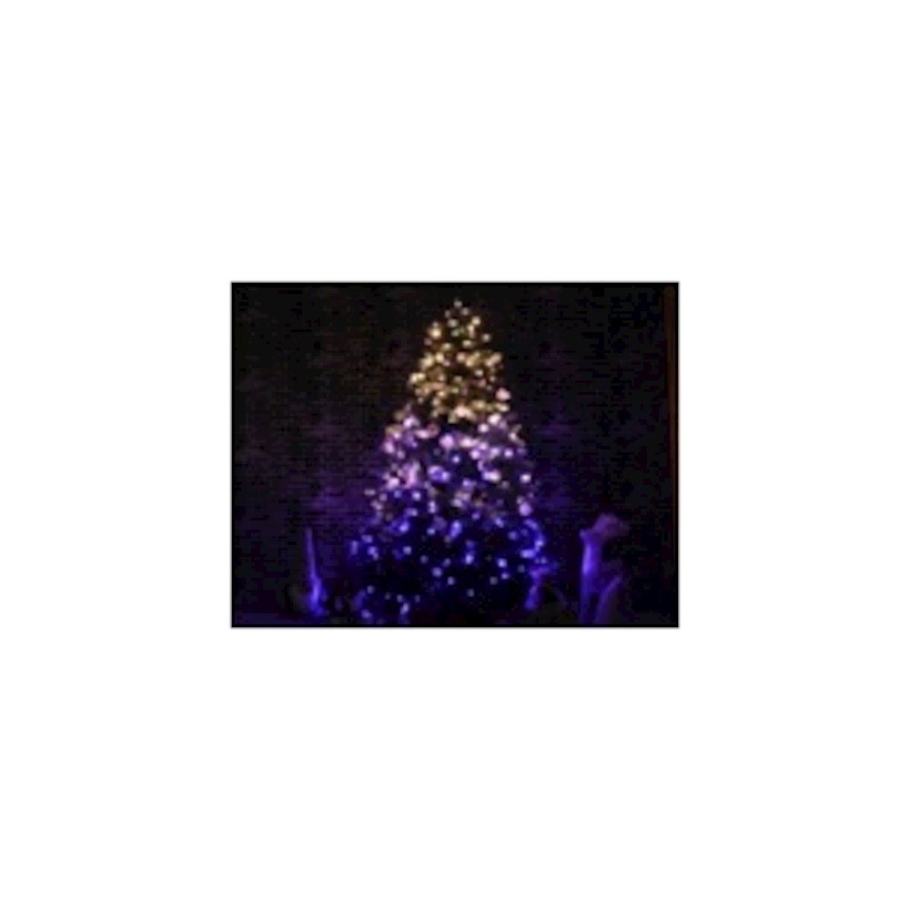 Multi-Function Timed String Lights - 200 RGB LEDs with Remote