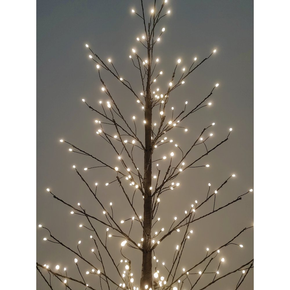 47in Black Birch Tree with 349 LED Lights Indoor Use Only