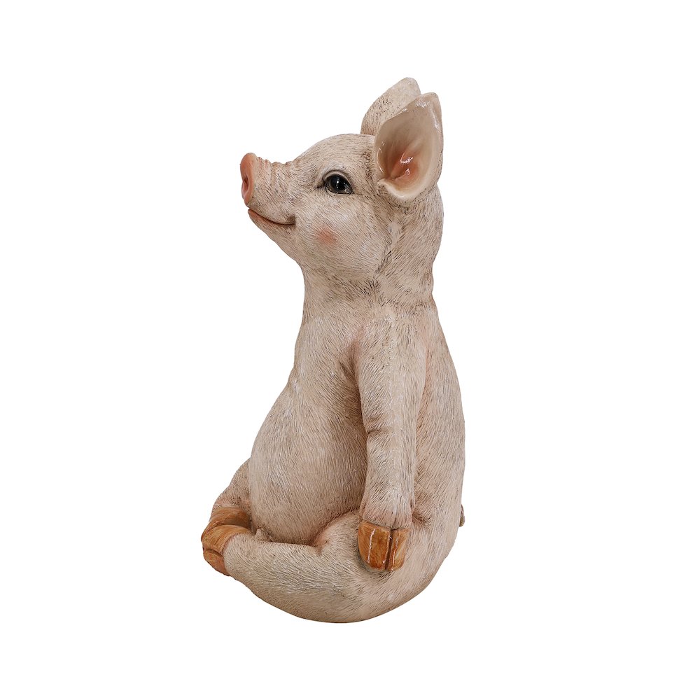 Pig In Meditation, Pink