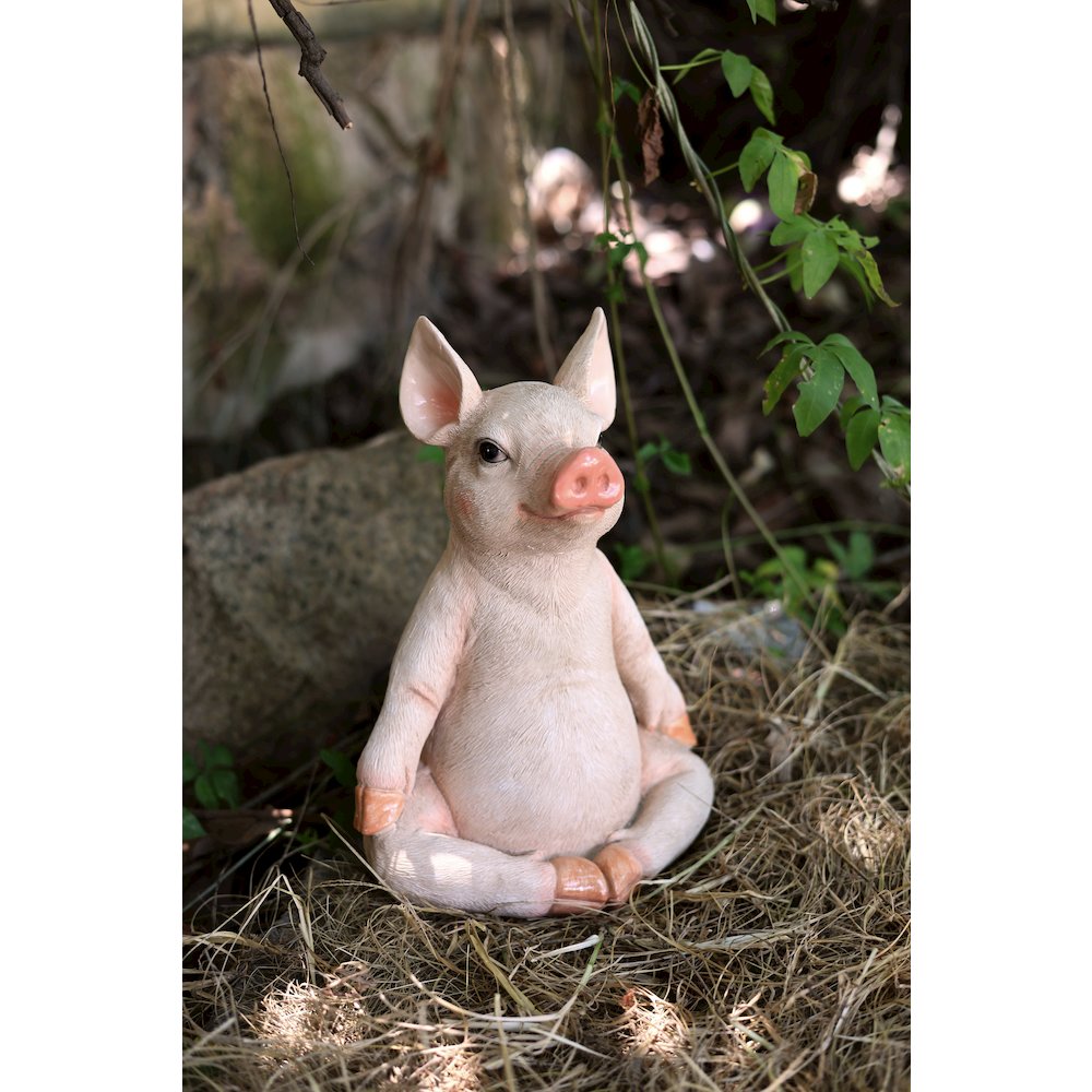 Pig In Meditation, Pink