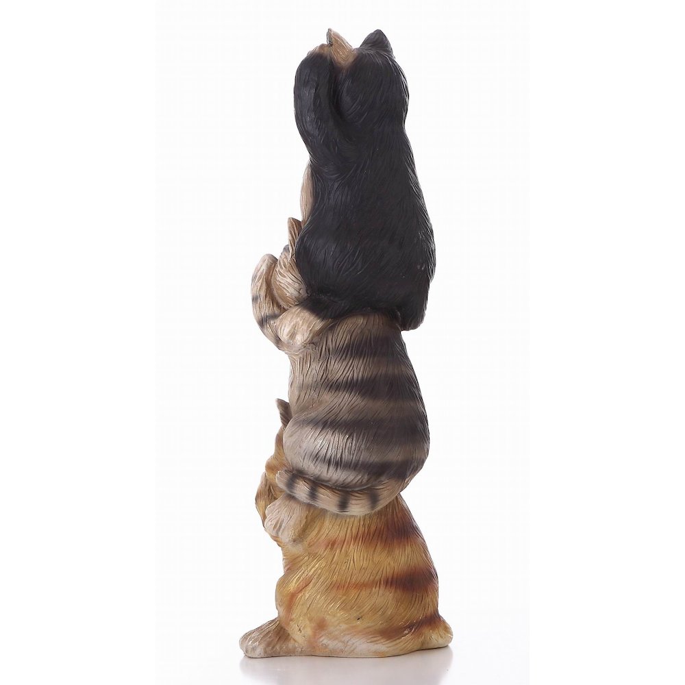 Stacked Cats - Hear/See/Speak No Evil