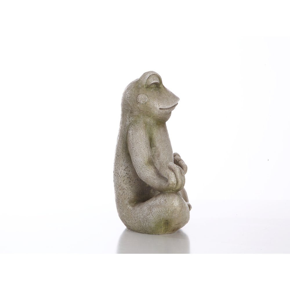 Frog Sitting In Lotus Position