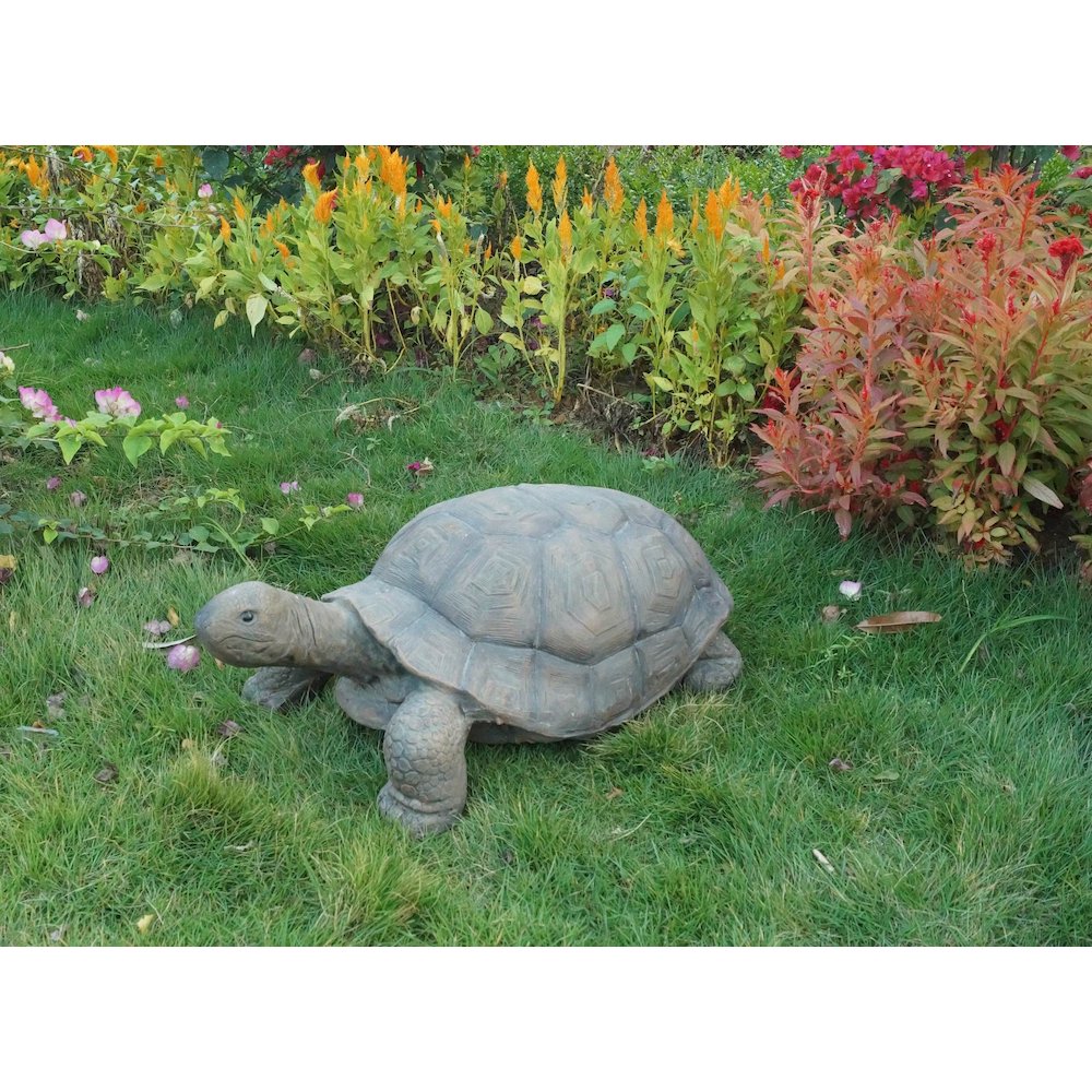 Large Turtle