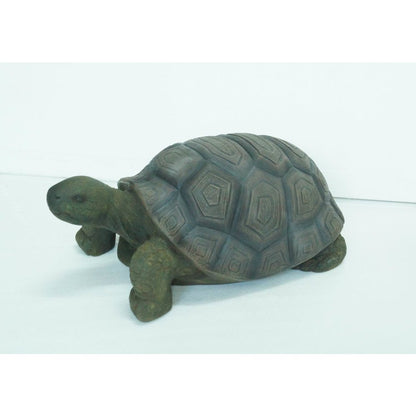 Turtle 21 Inch