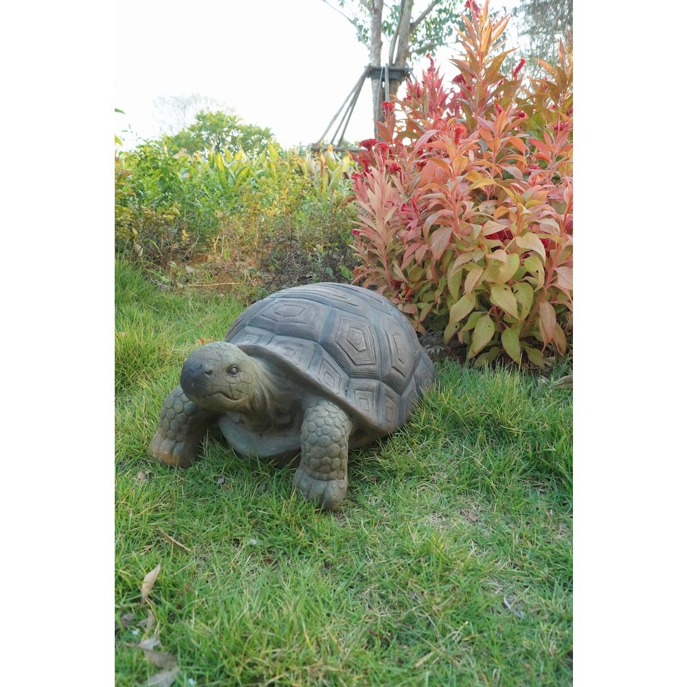 Turtle 21 Inch