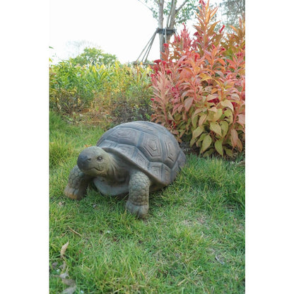 Turtle 21 Inch