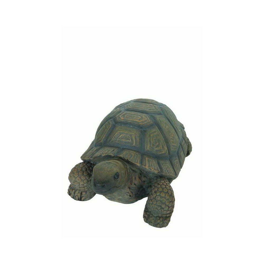 Turtle 10 Inch