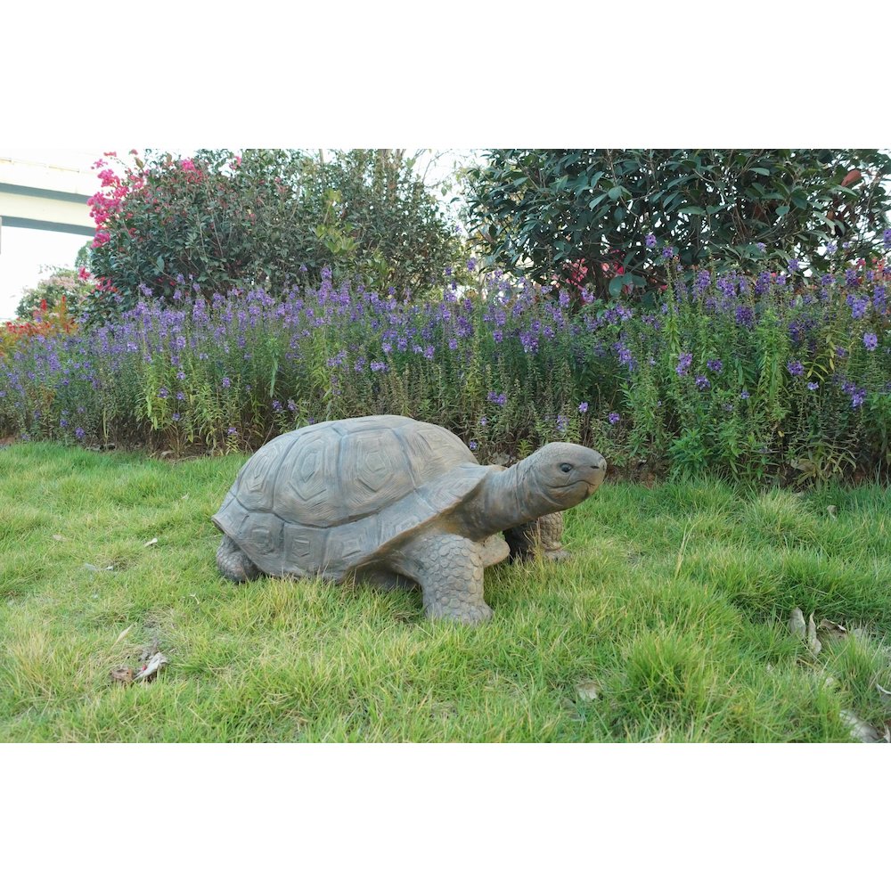 Large Turtle