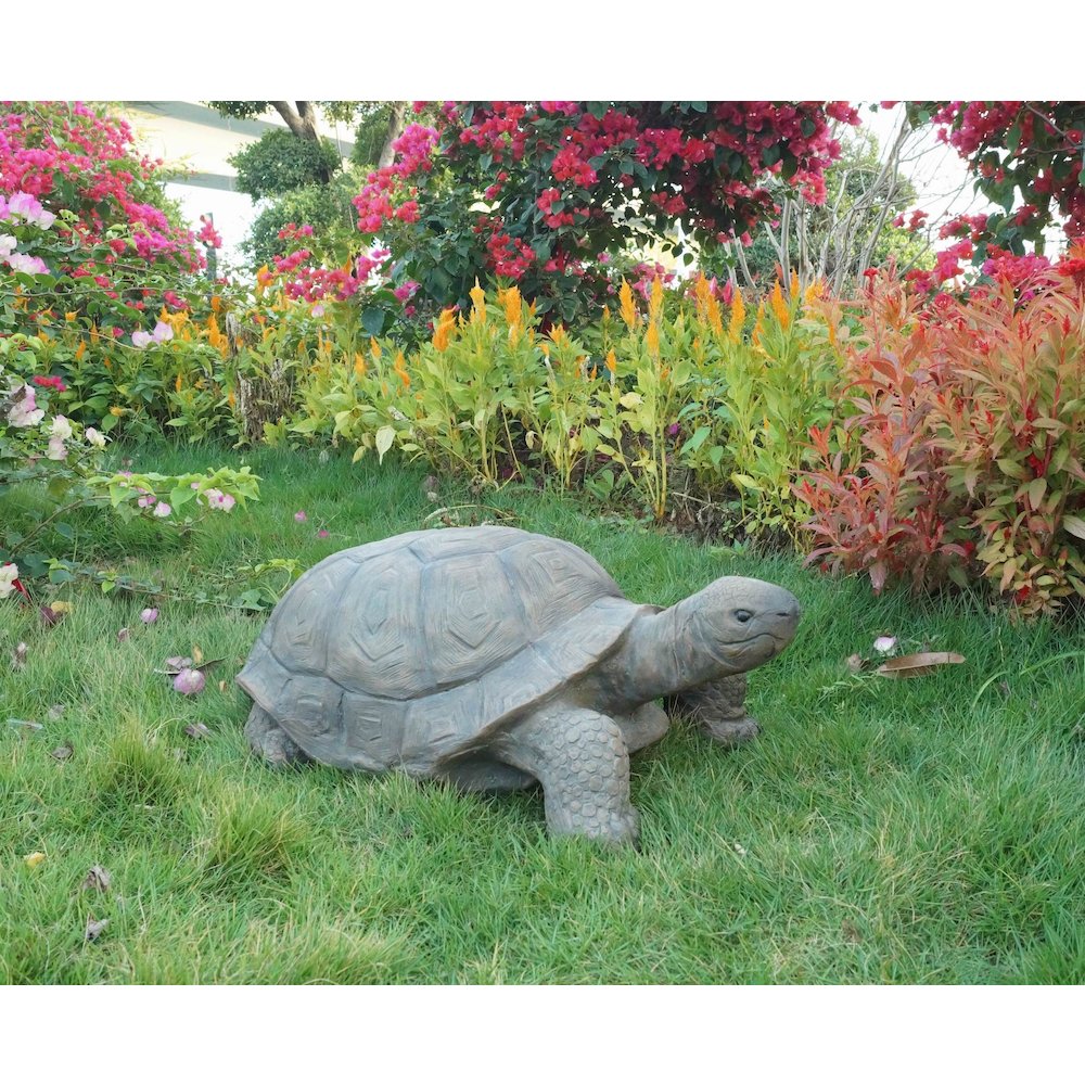 Large Turtle
