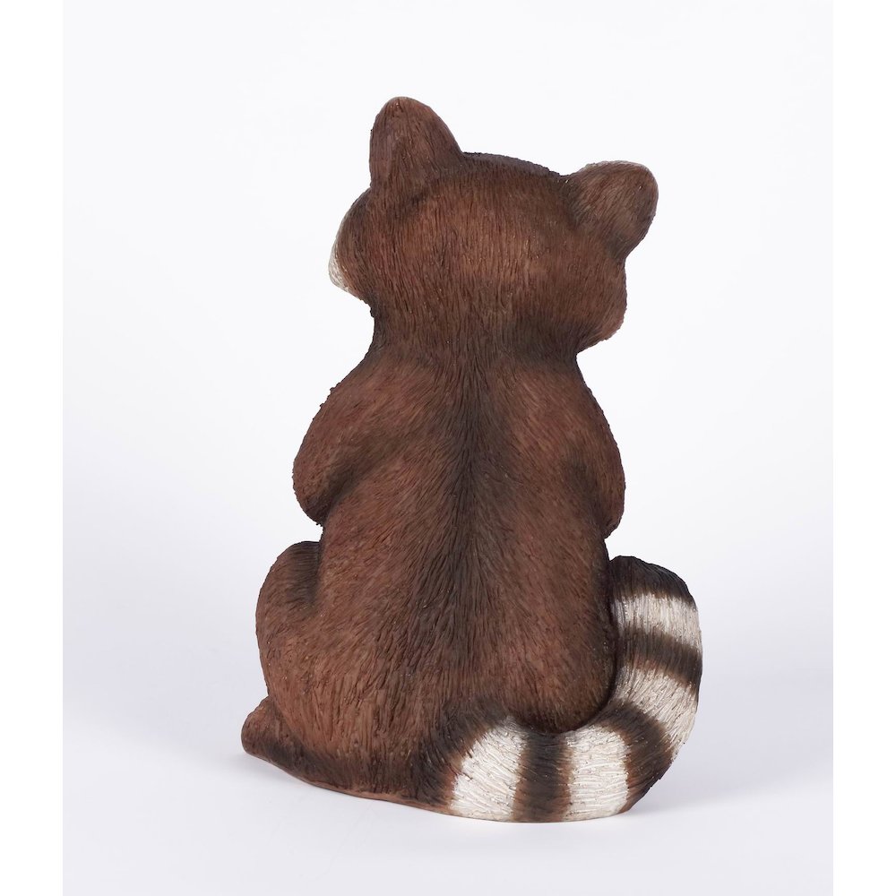 Racoon Holding Acorn