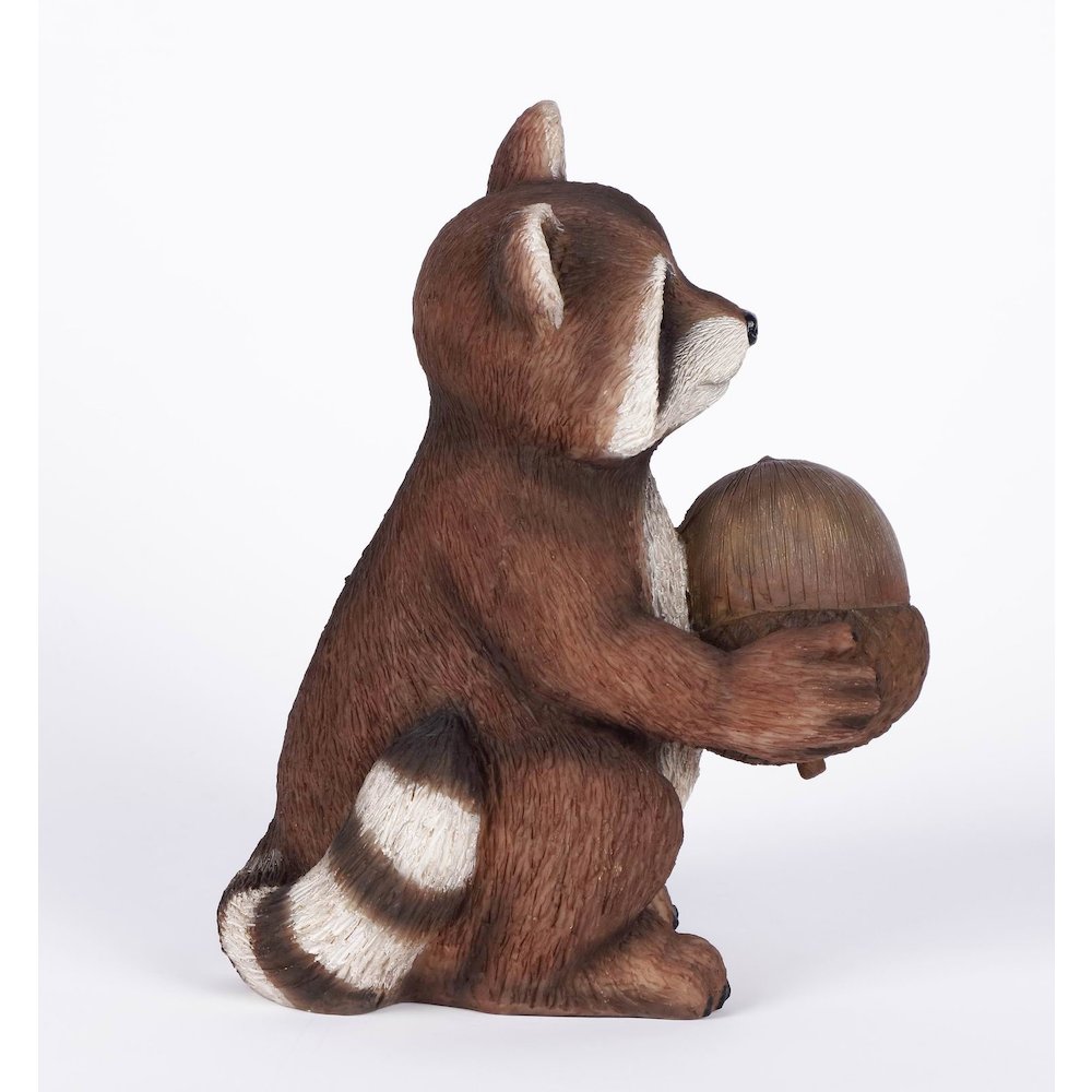 Racoon Holding Acorn