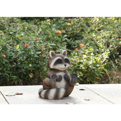 Racoon Sitting