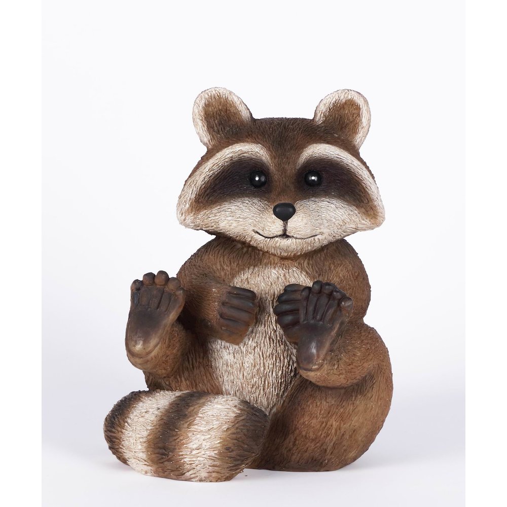 Racoon Sitting