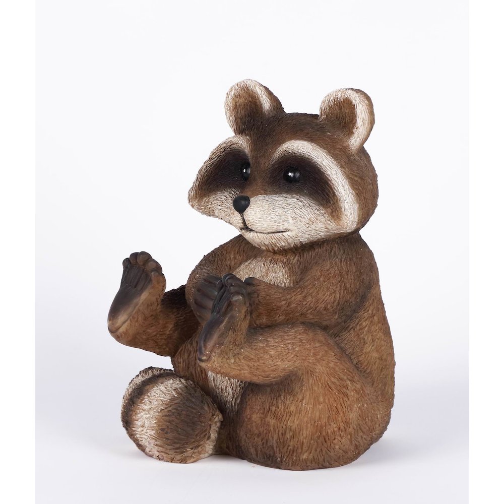 Racoon Sitting