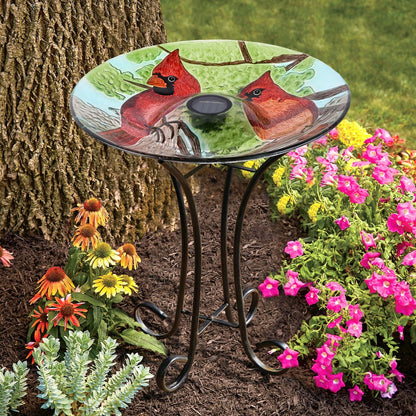 Solar LED Floral Glass Bird Bath with Stand - Cardinal