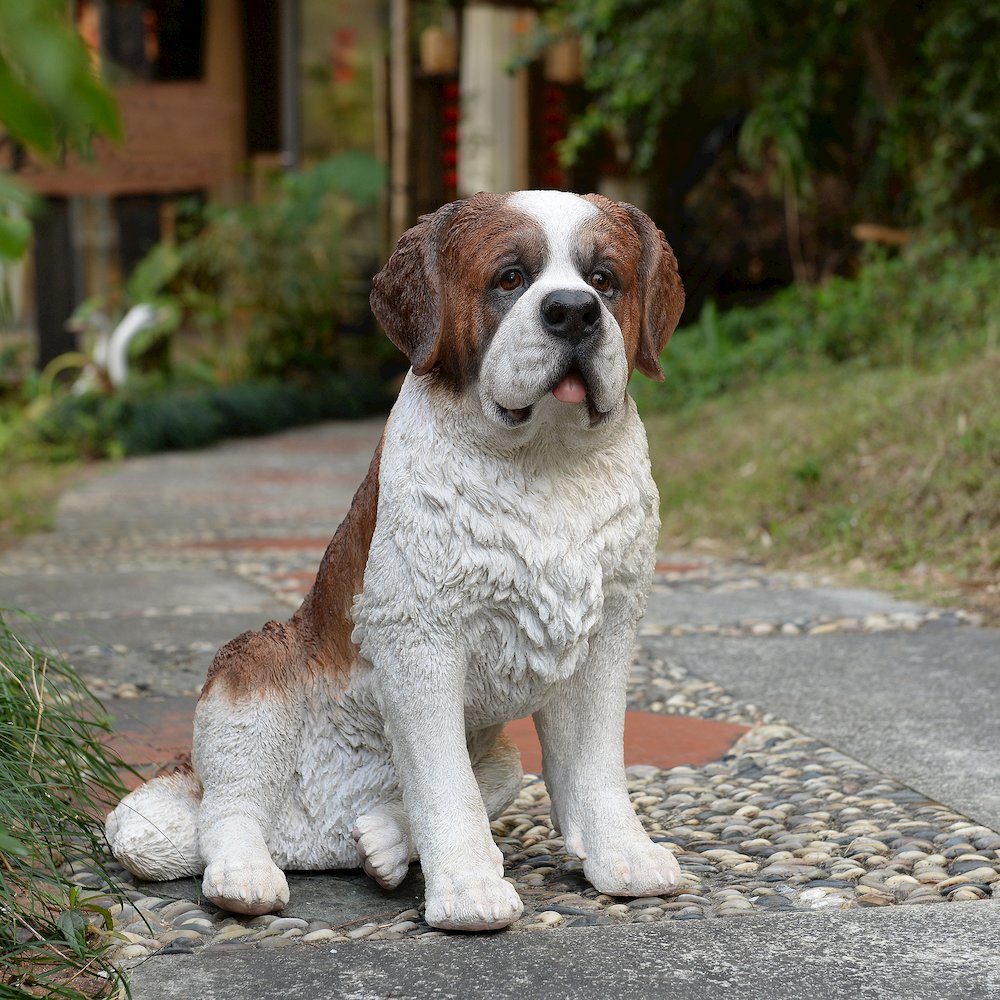 Alpine Guardian: Saint Bernard Polyresin Figurine in White and Brown