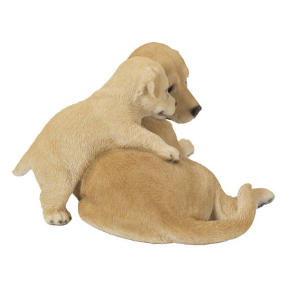 Mother & Baby Labrador