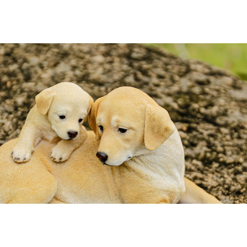 Mother & Baby Labrador