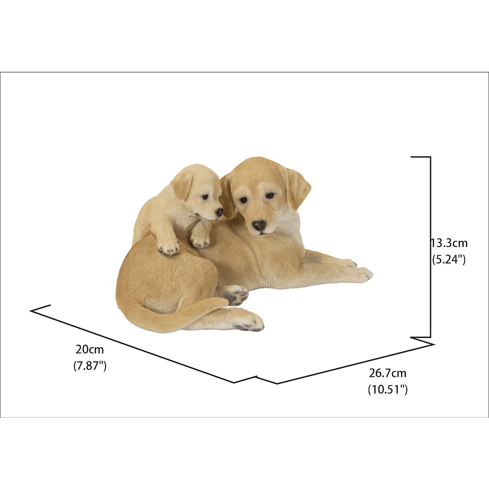 Mother & Baby Labrador