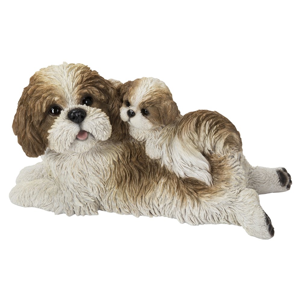 Mother & Baby Shih Tzu