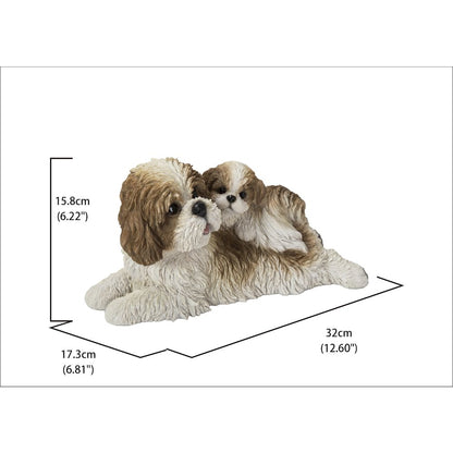 Mother & Baby Shih Tzu