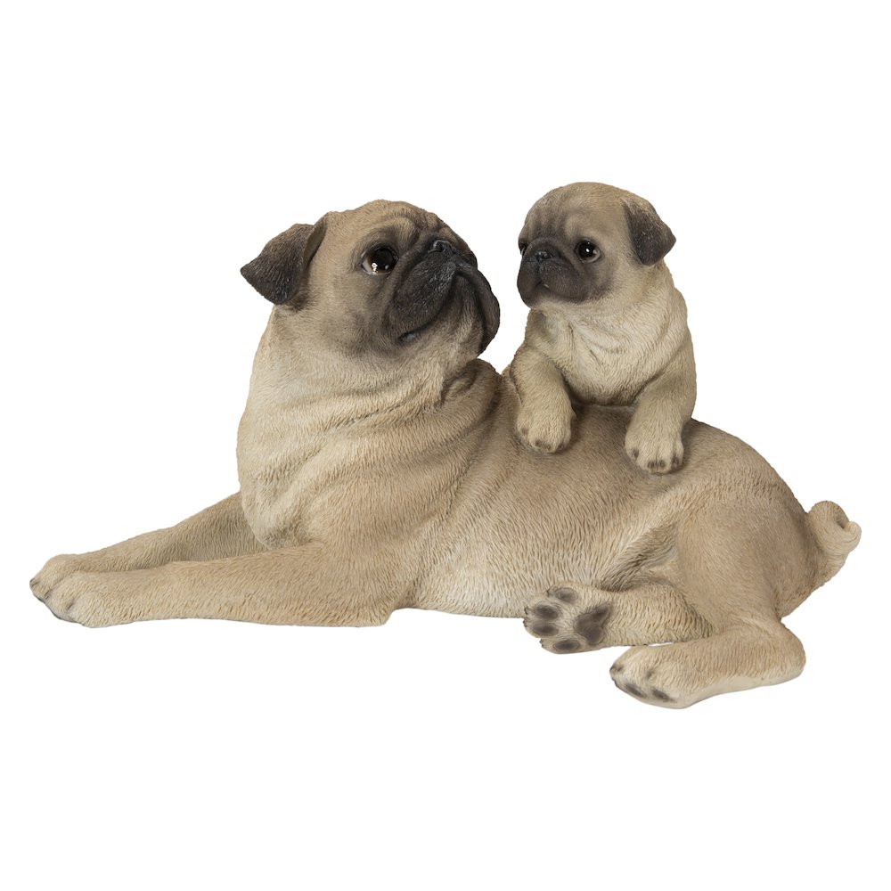 Mother & Baby Pugs