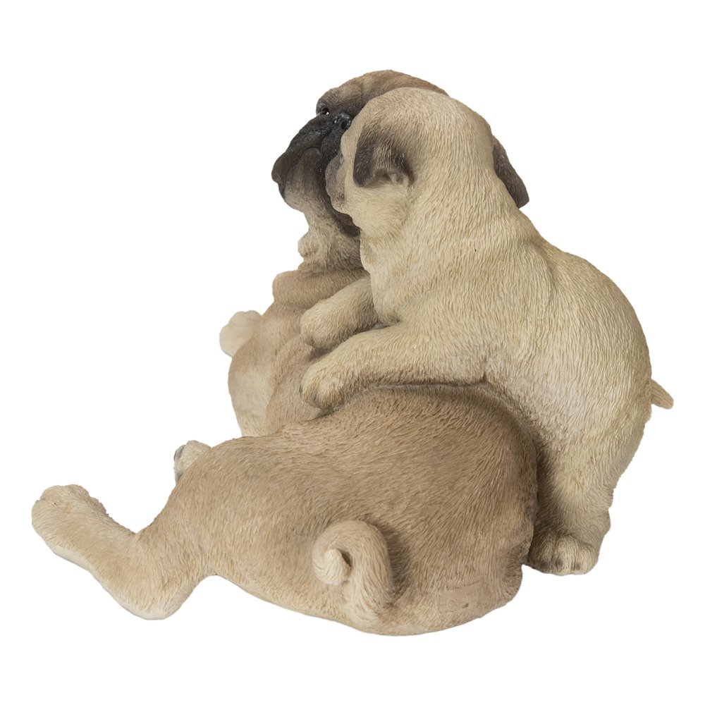 Mother & Baby Pugs