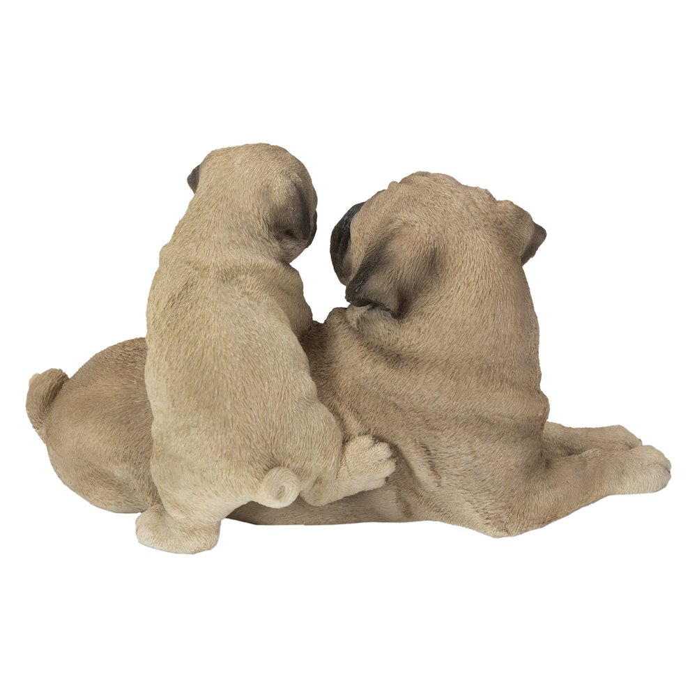 Mother & Baby Pugs