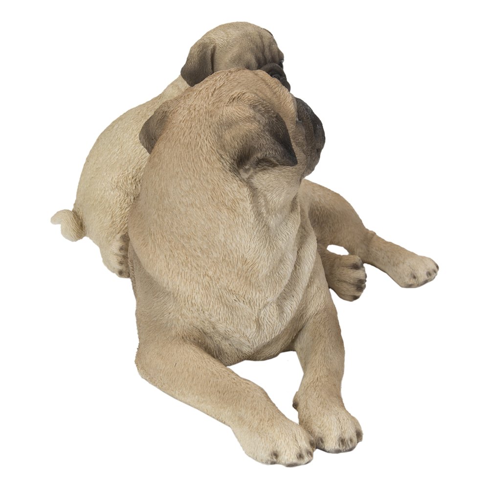 Mother & Baby Pugs