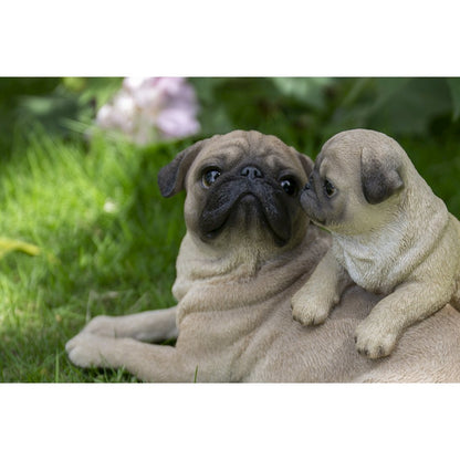Mother & Baby Pugs