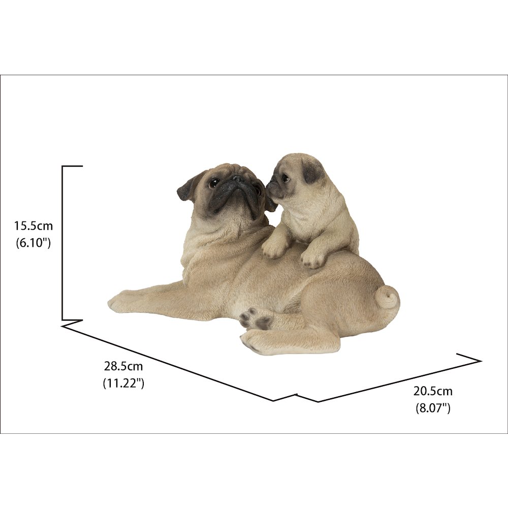 Mother & Baby Pugs