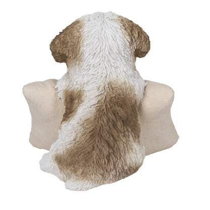Brown & White Shih Tzu W/Welcome Sign