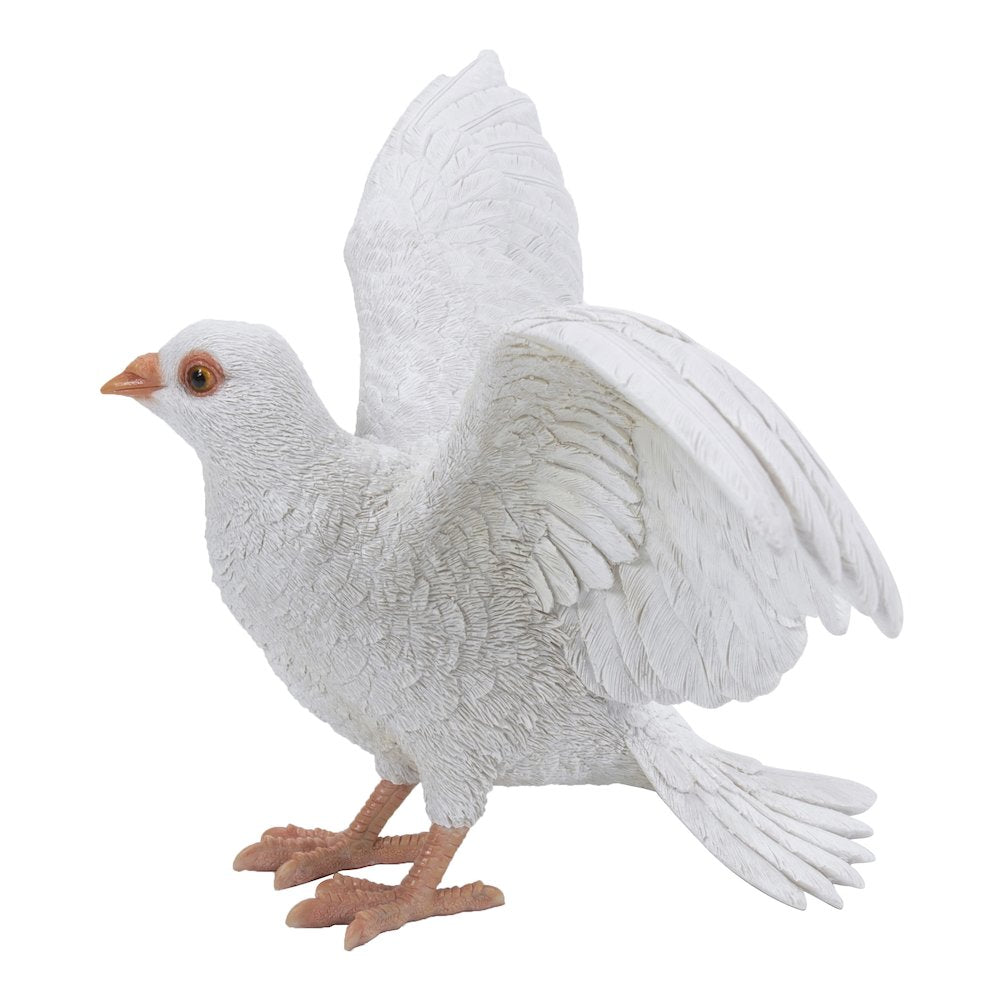 White Pigeon Spreads Wings