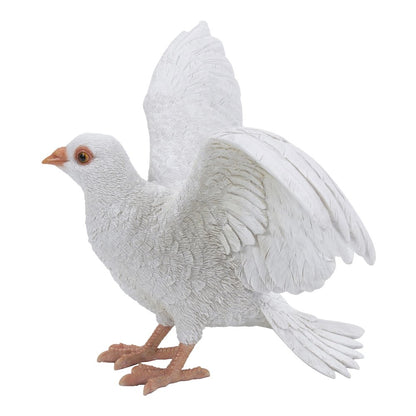 White Pigeon Spreads Wings