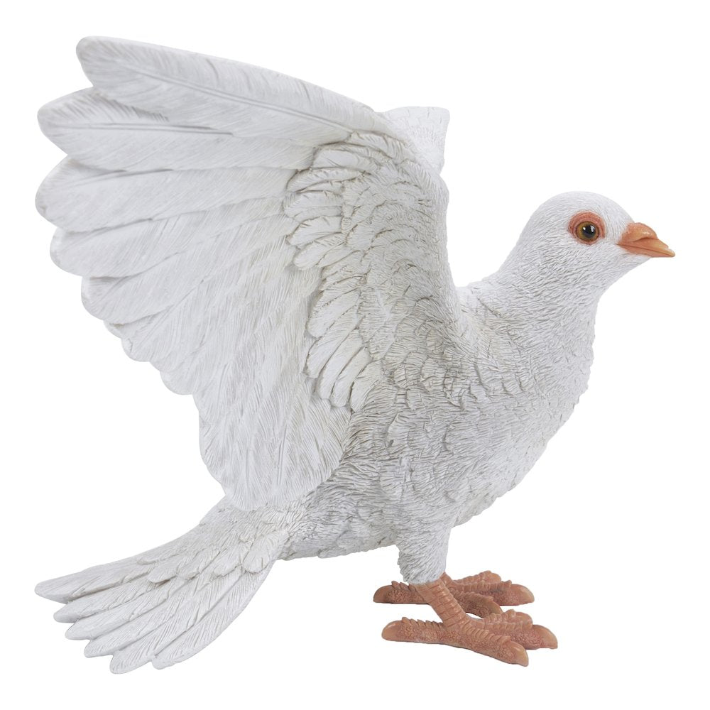 White Pigeon Spreads Wings