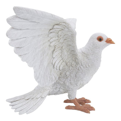 White Pigeon Spreads Wings