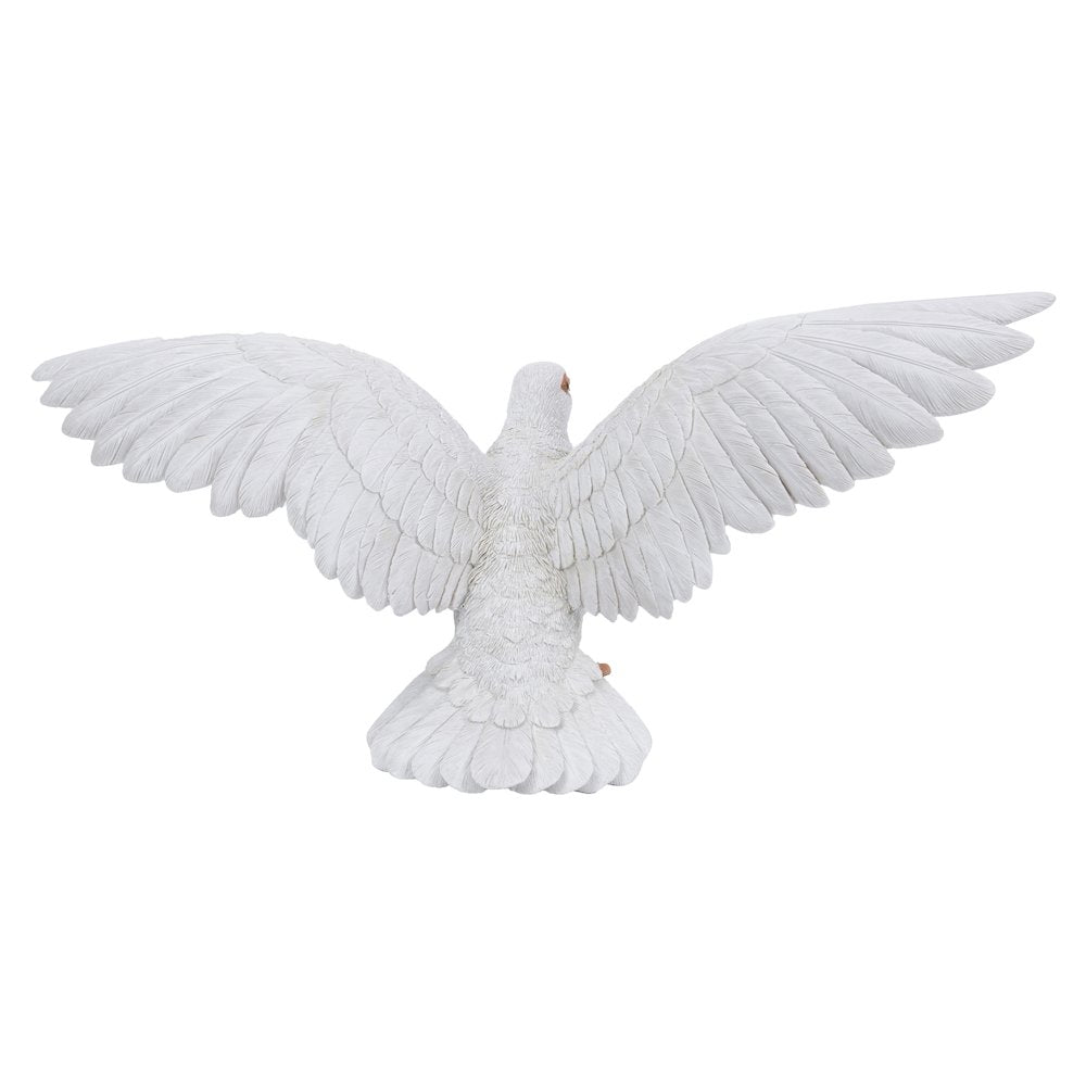 White Pigeon Spreads Wings
